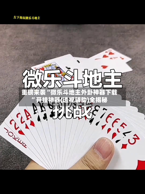 重磅来袭“微乐斗地主外卦神器下载”开挂神器{透视辅助}全揭秘-第2张图片