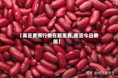 【美豆费用行情在那里看,美豆今日费用】-第3张图片
