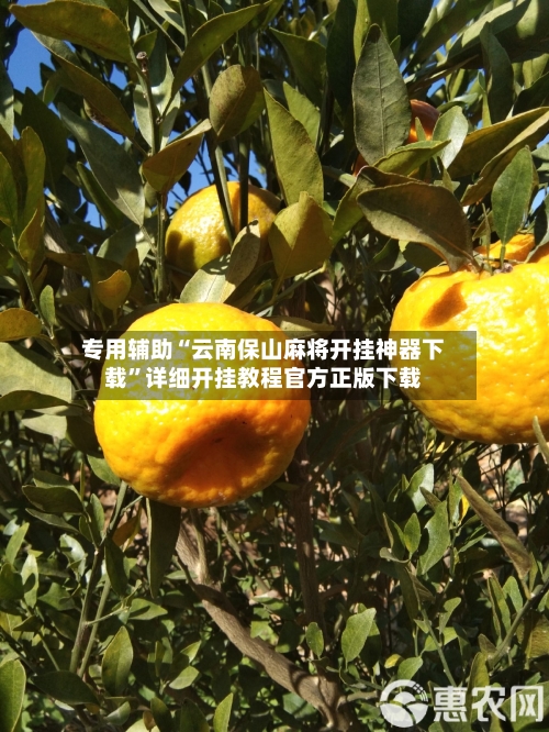 专用辅助“云南保山麻将开挂神器下载”详细开挂教程官方正版下载