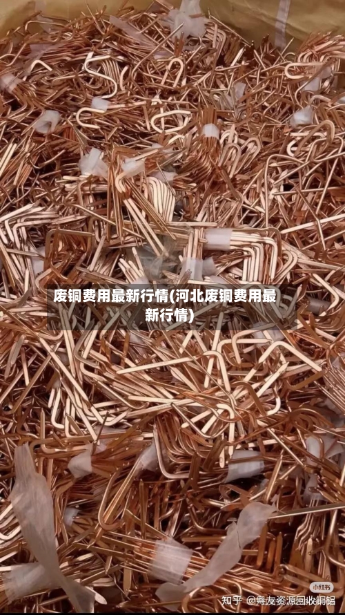 废铜费用最新行情(河北废铜费用最新行情)-第2张图片