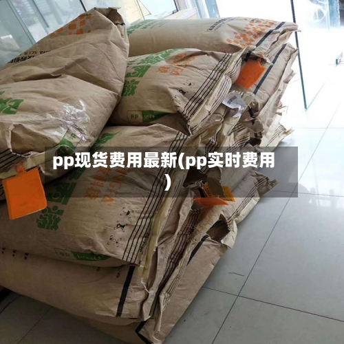 pp现货费用最新(pp实时费用)-第2张图片