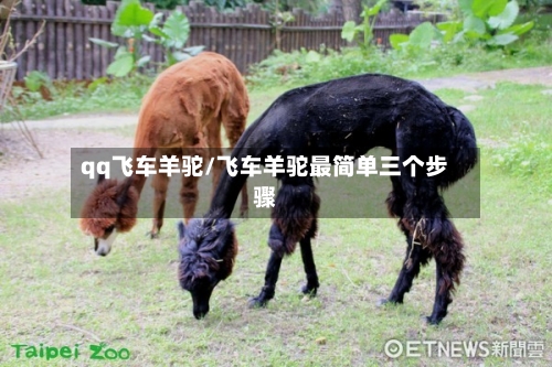 qq飞车羊驼/飞车羊驼最简单三个步骤-第2张图片
