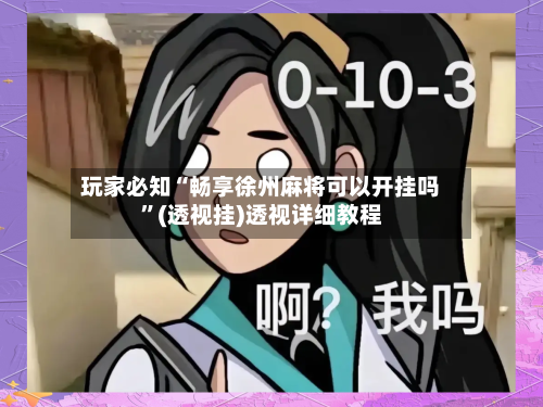 玩家必知“畅享徐州麻将可以开挂吗”(透视挂)透视详细教程-第2张图片