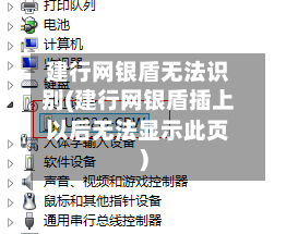 建行网银盾无法识别(建行网银盾插上以后无法显示此页)-第2张图片