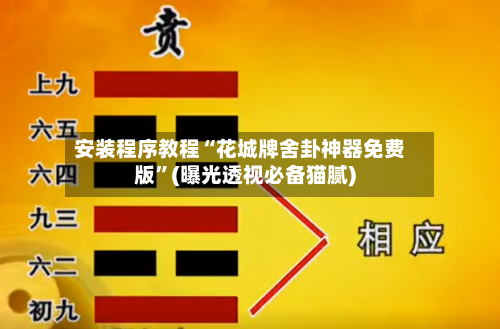 安装程序教程“花城牌舍卦神器免费版	”(曝光透视必备猫腻)-第3张图片