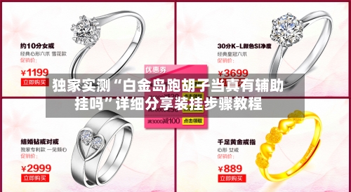 独家实测“白金岛跑胡子当真有辅助挂吗”详细分享装挂步骤教程