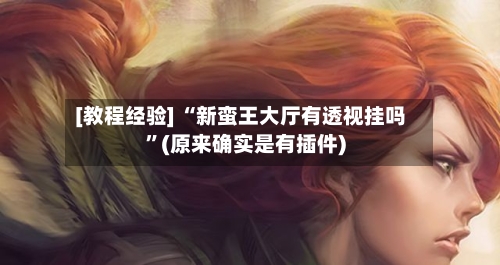 [教程经验] “新蛮王大厅有透视挂吗	”(原来确实是有插件)-第2张图片