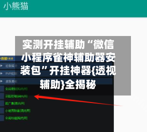 实测开挂辅助“微信小程序雀神辅助器安装包”开挂神器{透视辅助}全揭秘-第3张图片