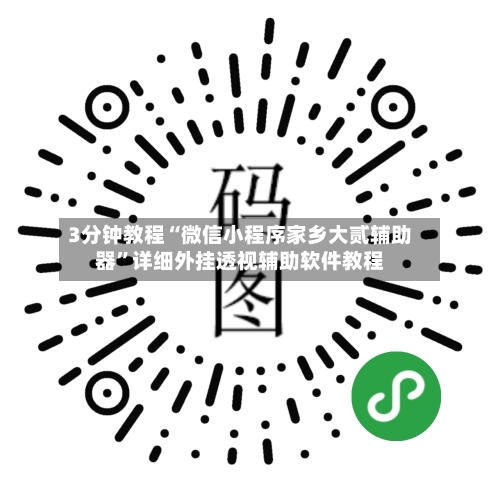 3分钟教程“微信小程序家乡大贰辅助器”详细外挂透视辅助软件教程-第3张图片