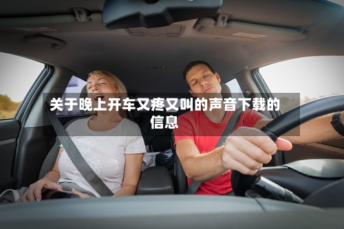 关于晚上开车又疼又叫的声音下载的信息-第2张图片