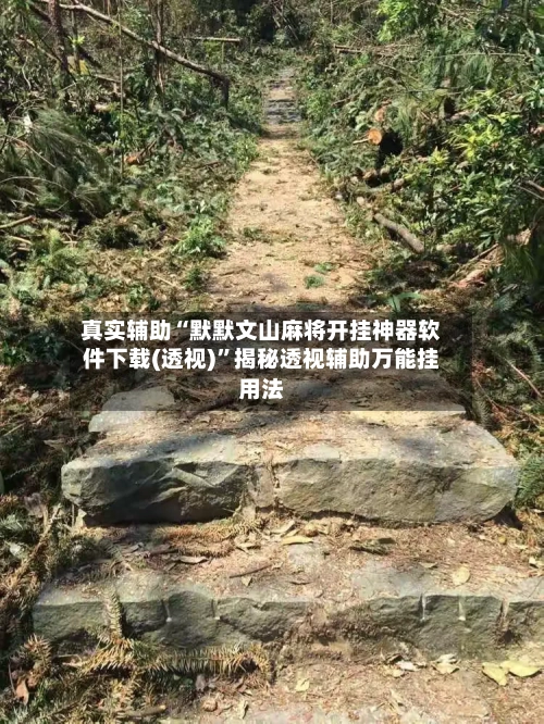 真实辅助“默默文山麻将开挂神器软件下载(透视)”揭秘透视辅助万能挂用法-第2张图片