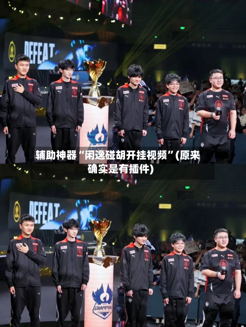 辅助神器“闲逸碰胡开挂视频”(原来确实是有插件)