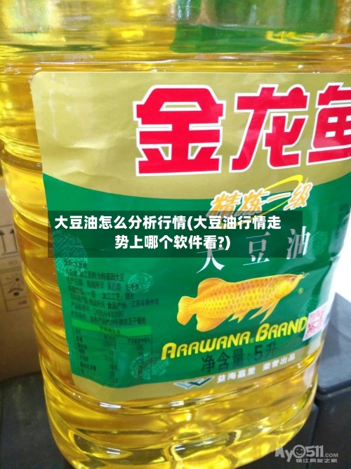 大豆油怎么分析行情(大豆油行情走势上哪个软件看?)-第2张图片