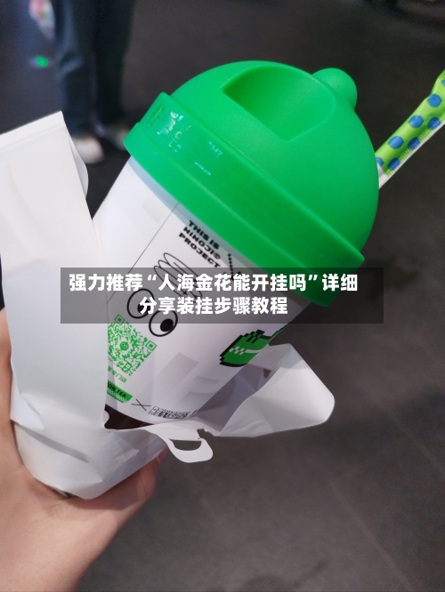 强力推荐“人海金花能开挂吗”详细分享装挂步骤教程-第3张图片