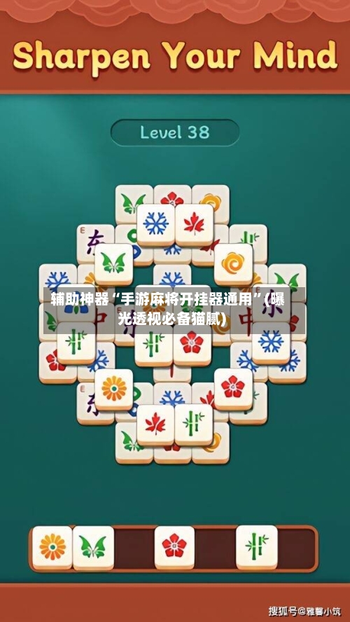 辅助神器“手游麻将开挂器通用	”(曝光透视必备猫腻)-第2张图片