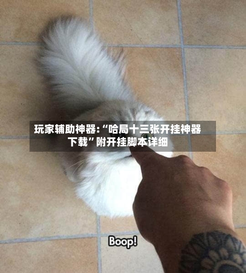 玩家辅助神器:“哈局十三张开挂神器下载”附开挂脚本详细