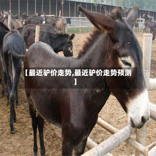 【最近驴价走势,最近驴价走势预测】