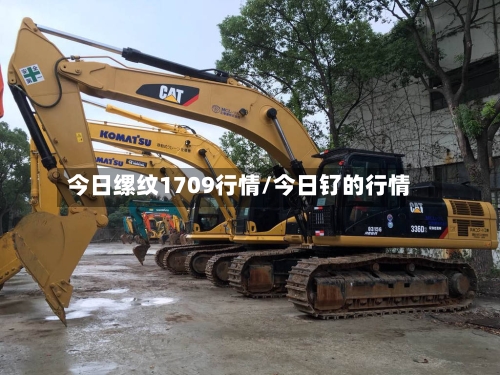 今日缧纹1709行情/今日钌的行情-第2张图片