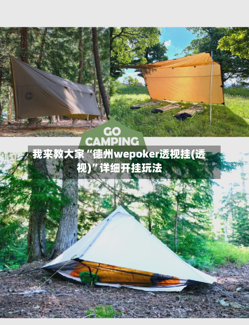 我来教大家“德州wepoker透视挂(透视)”详细开挂玩法-第2张图片