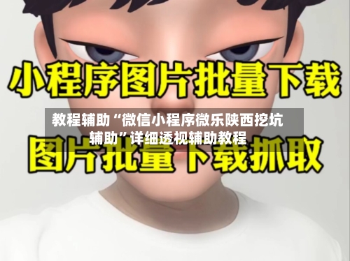 教程辅助“微信小程序微乐陕西挖坑辅助”详细透视辅助教程-第2张图片