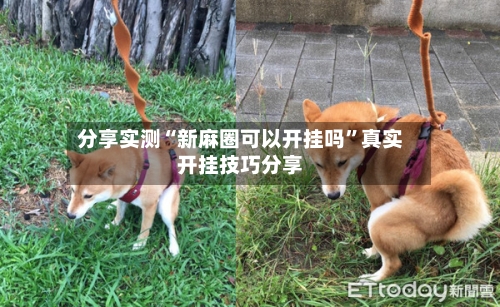 分享实测“新麻圈可以开挂吗”真实开挂技巧分享