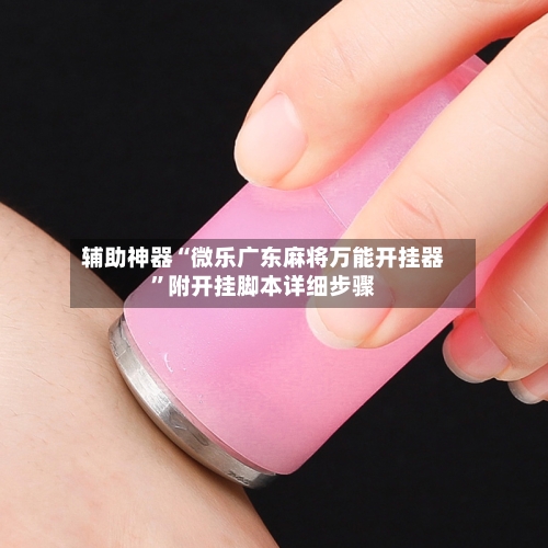 辅助神器“微乐广东麻将万能开挂器”附开挂脚本详细步骤-第3张图片