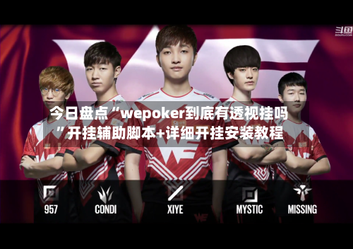 今日盘点“wepoker到底有透视挂吗”开挂辅助脚本+详细开挂安装教程-第3张图片