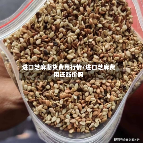 进口芝麻期货费用行情/进口芝麻费用还涨价吗-第3张图片
