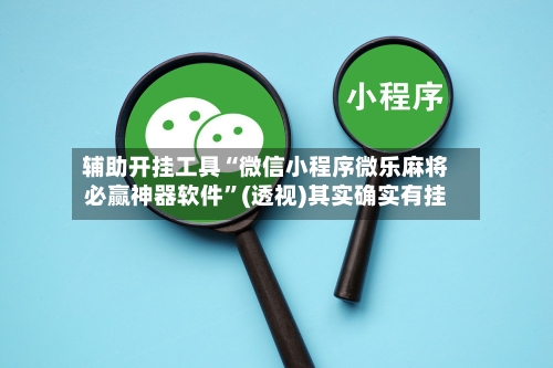 辅助开挂工具“微信小程序微乐麻将必赢神器软件”(透视)其实确实有挂-第2张图片