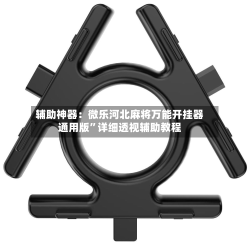 辅助神器：微乐河北麻将万能开挂器通用版”详细透视辅助教程-第3张图片