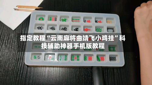 指定教程“云南麻将曲靖飞小鸡挂”科技辅助神器手机版教程-第3张图片