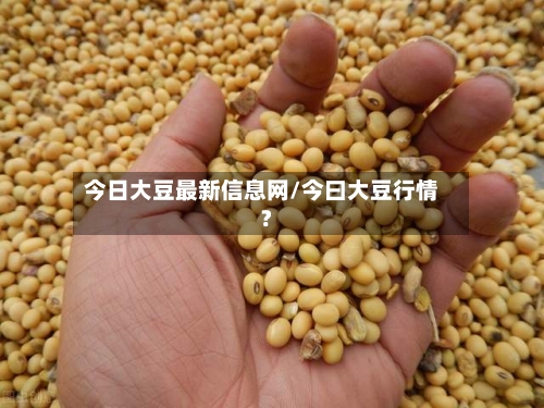 今日大豆最新信息网/今曰大豆行情?-第2张图片