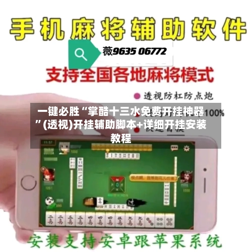 一键必胜“掌酷十三水免费开挂神器	”(透视)开挂辅助脚本+详细开挂安装教程-第2张图片