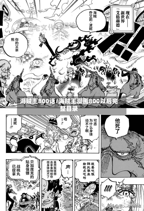 海贼王800话/海贼王漫画800以后完整目录-第2张图片