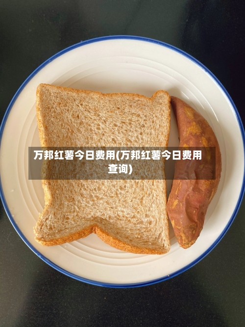 万邦红薯今日费用(万邦红薯今日费用查询)