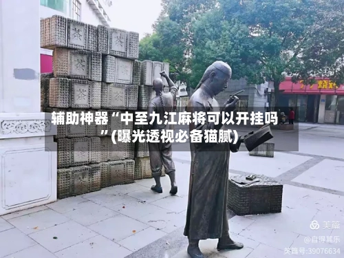 辅助神器“中至九江麻将可以开挂吗”(曝光透视必备猫腻)