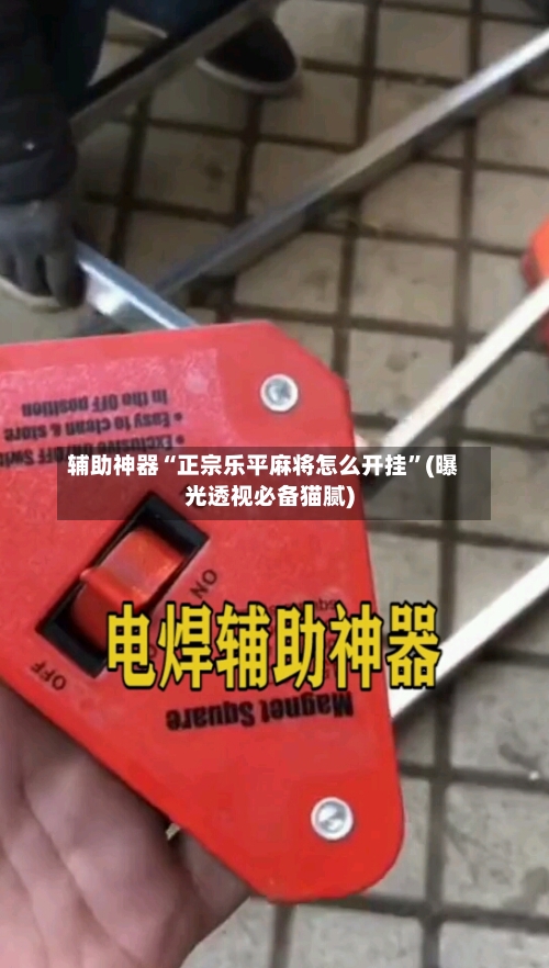 辅助神器“正宗乐平麻将怎么开挂”(曝光透视必备猫腻)