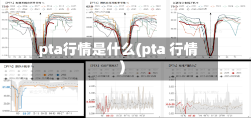 pta行情是什么(pta 行情)