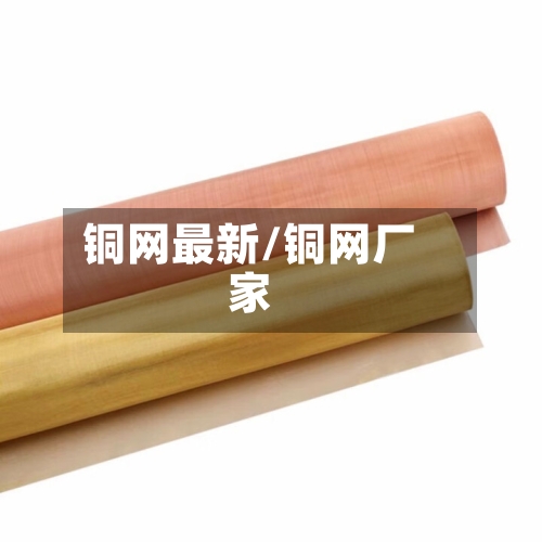 铜网最新/铜网厂家-第2张图片
