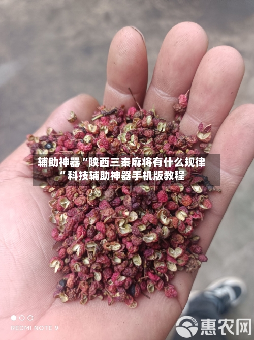 辅助神器“陕西三秦麻将有什么规律”科技辅助神器手机版教程