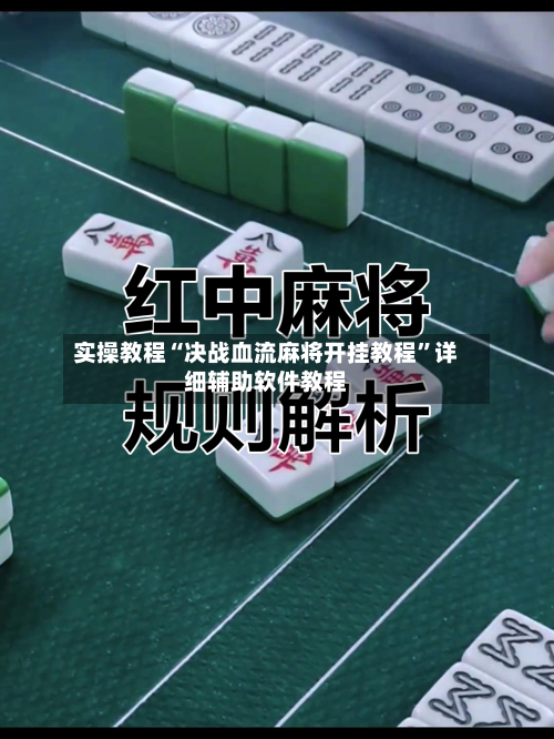 实操教程“决战血流麻将开挂教程	”详细辅助软件教程-第2张图片