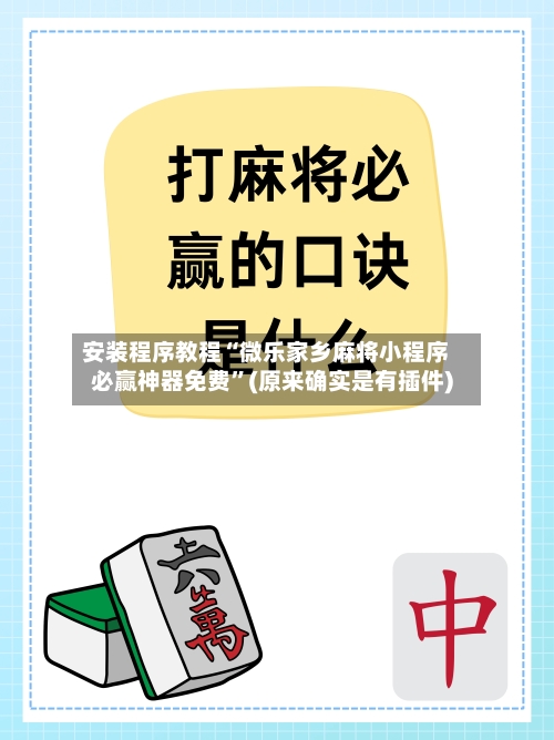 安装程序教程“微乐家乡麻将小程序必赢神器免费”(原来确实是有插件)-第2张图片