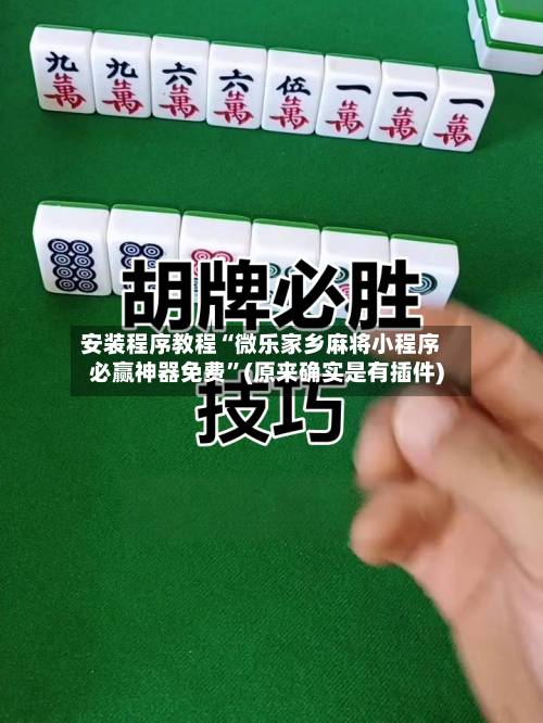 安装程序教程“微乐家乡麻将小程序必赢神器免费”(原来确实是有插件)