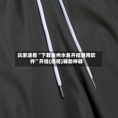 玩家速看“下载金州水鱼开挂通用软件	”开挂(透视)辅助神器-第2张图片