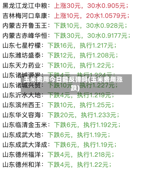 玉米费用今日能反弹吗(玉米费用涨跌)-第2张图片