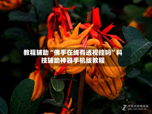 教程辅助“佛手在线有透视挂吗”科技辅助神器手机版教程-第2张图片