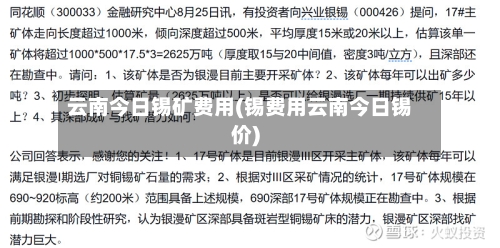 云南今日锡矿费用(锡费用云南今日锡价)-第2张图片