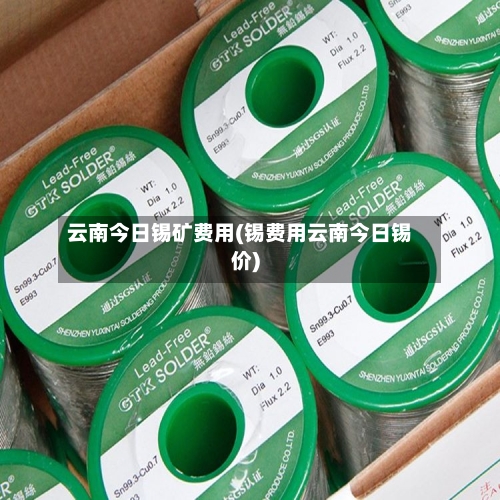 云南今日锡矿费用(锡费用云南今日锡价)-第3张图片