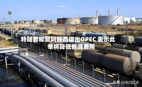 特朗普称赞阿联酋退出OPEC 表示此举将降低能源费用-第3张图片