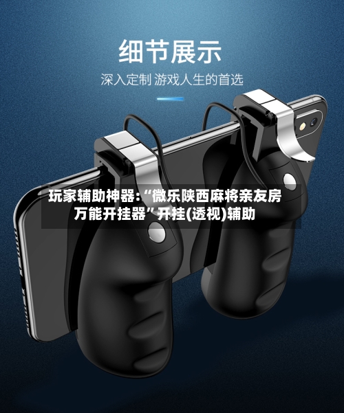 玩家辅助神器:“微乐陕西麻将亲友房万能开挂器”开挂(透视)辅助-第3张图片